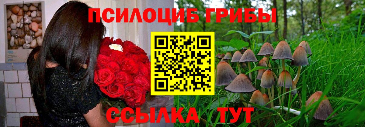 Галлюциногенные грибы прущие грибы Кунгур