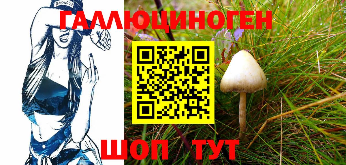 Галлюциногенные грибы Cubensis  Галлюциногенные грибы мухоморы  где можно купить наркотик  Кунгур  Вход с VPN 
