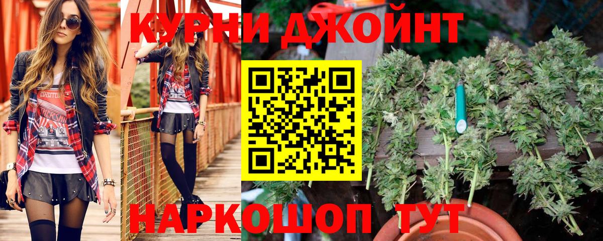 Канабис гибрид  Бошки марихуана Ganja  Кунгур  Вход с VPN  Шишки марихуана план 